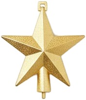 a gold star charm.jpg